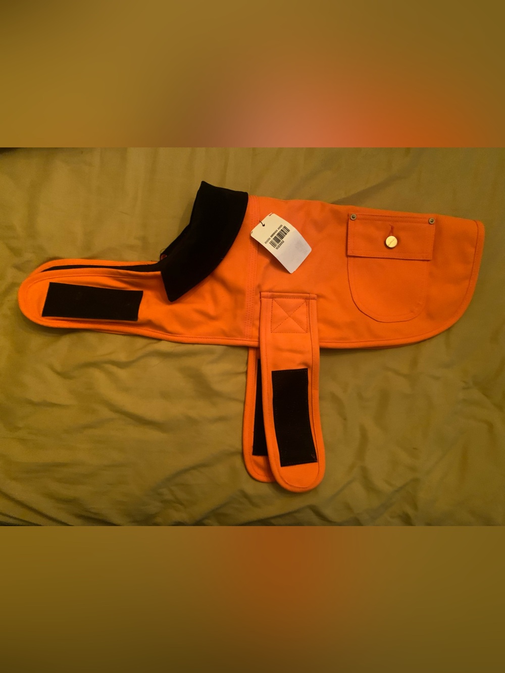 Carhartt Orange Dog Coat  with Black Trim